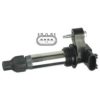 DELPHI GN10494-12B1 Ignition Coil